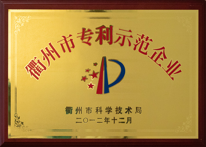 衢州市专利示范企业